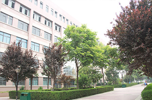 学生公寓楼